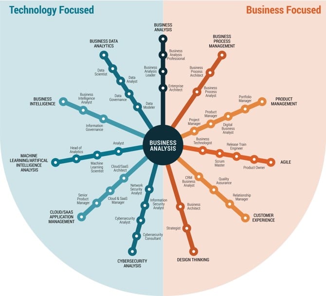 The graphic shows the business-focused and technology-focused career paths you can pursue.