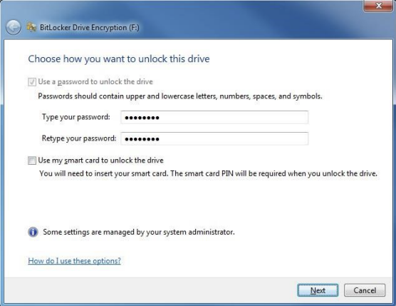 Bitlocker unlock password dialog box