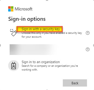 Sign-in options window