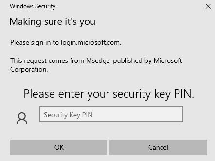 Windows Security verification