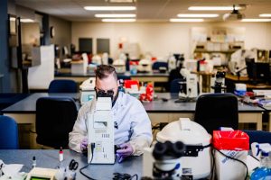 Medical laboratory technician student working in lab