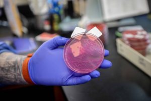 MPTC Med Lab Techs Earn 100 Percent Pass Rate—10 years in a Row!