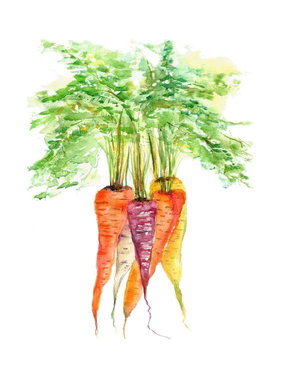 Rooted Nutrition and Wellness logo which is a painted image of four carrots.