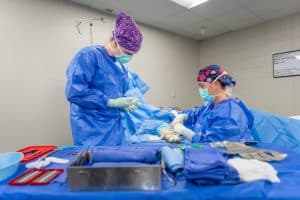 Training Tomorrow’s Surgical Technologists