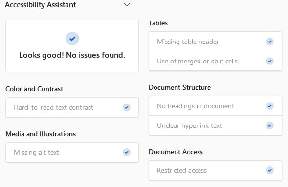Screenshot of Accessibility Assistant listing areas that are being assessed.